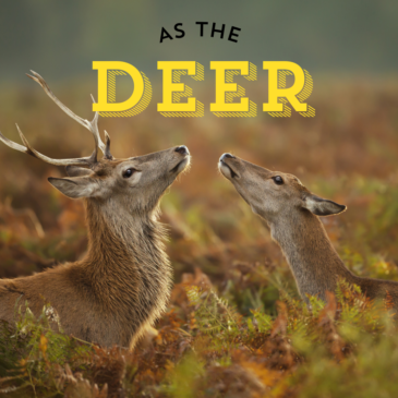 As The Deer